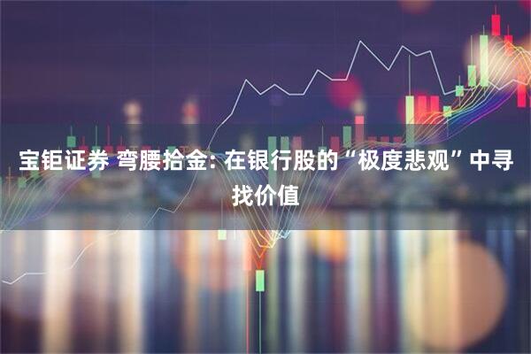 宝钜证券 弯腰拾金: 在银行股的“极度悲观”中寻找价值