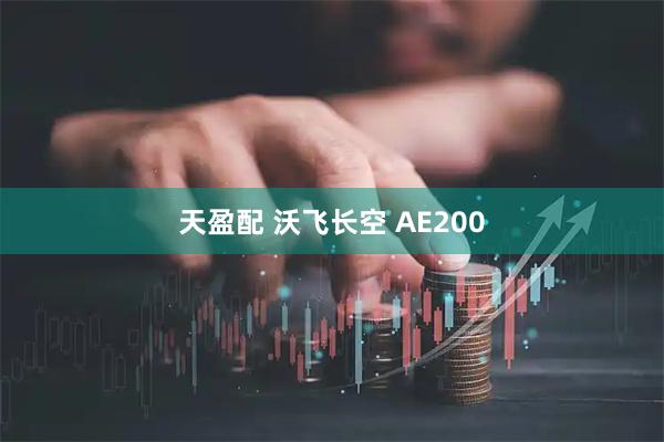 天盈配 沃飞长空 AE200